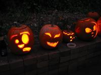 IMG_0847.jpg