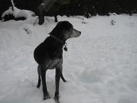 Tovn looking regal in the snow