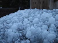 Hail close up