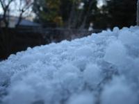 Hail close up take two