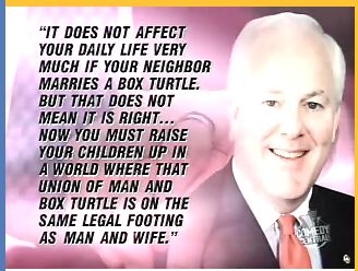 boxturtle1.jpg