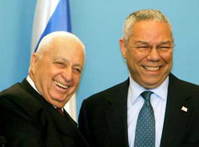 powell-sharon-all-smiles.jpg