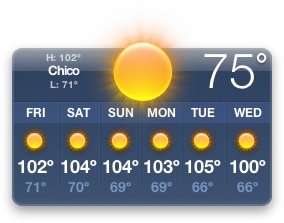 summer-in-chico.jpg